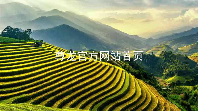尊龙官方网站首页