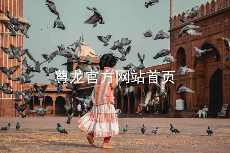 尊龙官方网站首页